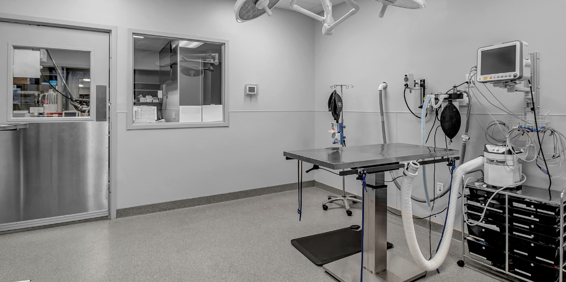 Surgery room at Williamsville Veterinary Hospital